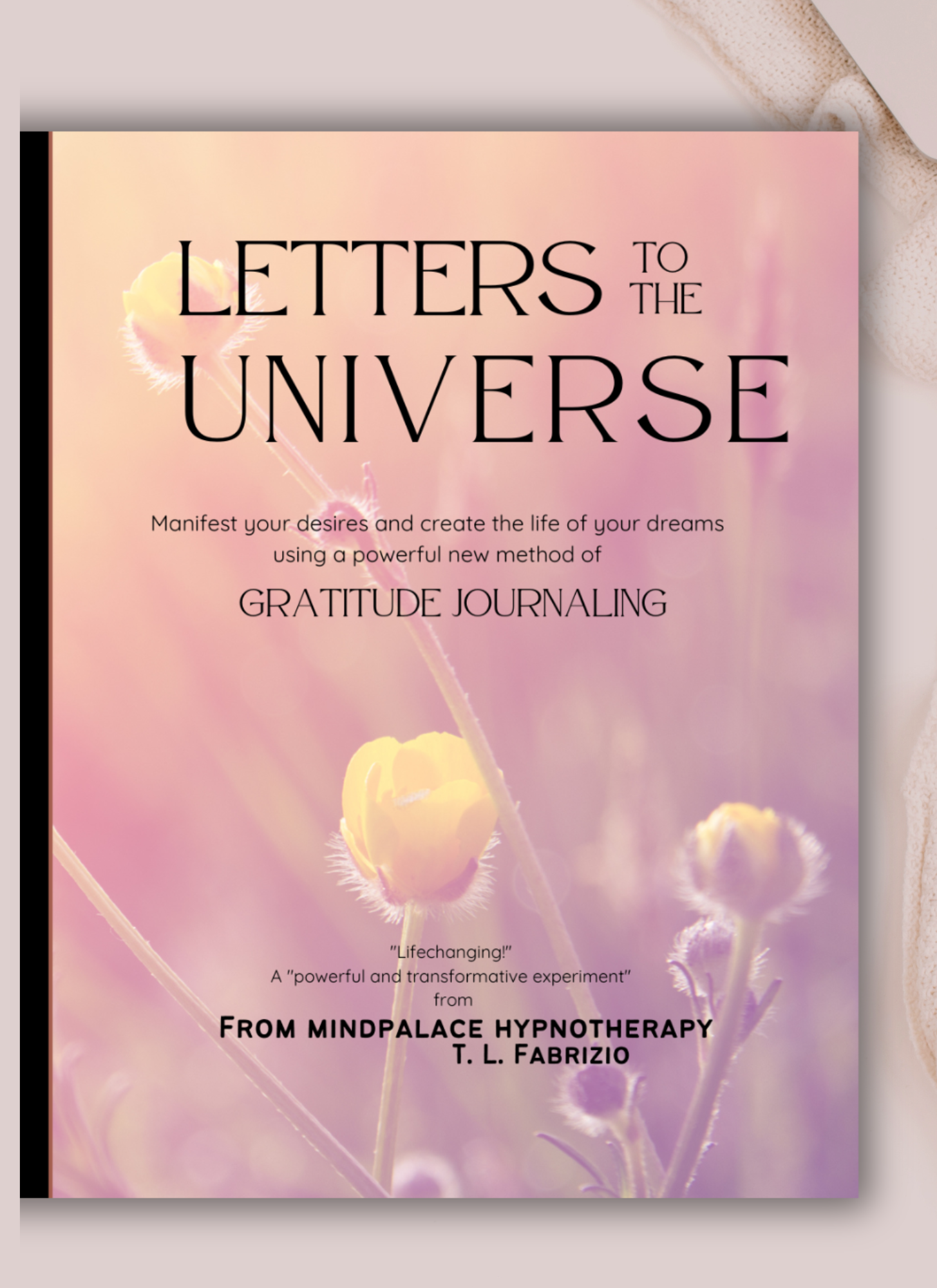 Letters to the Universe — book cover
