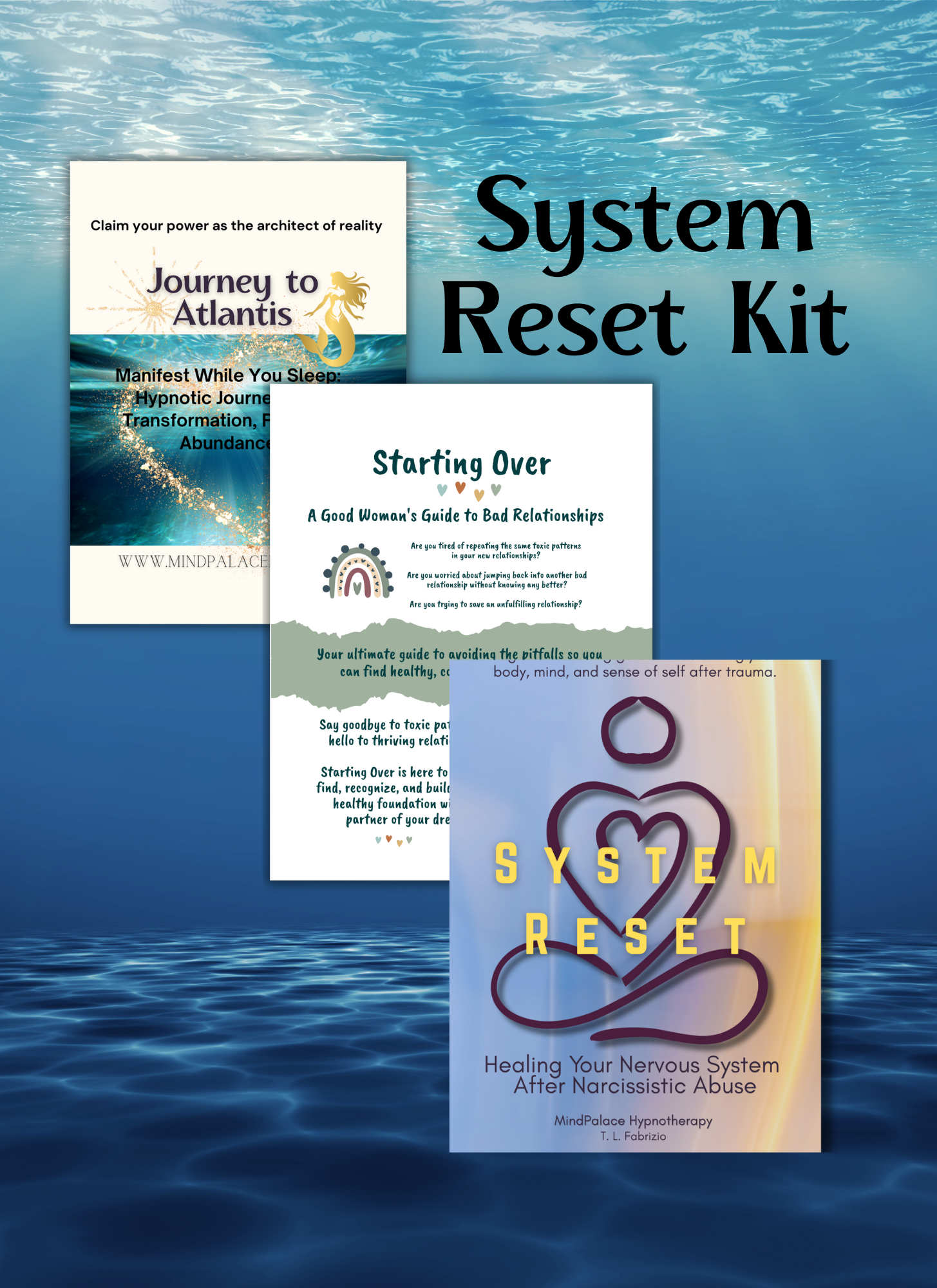 System Reset Kit bundle